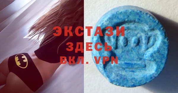 СК Краснослободск