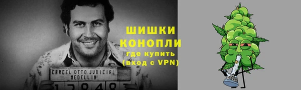 СК Краснослободск