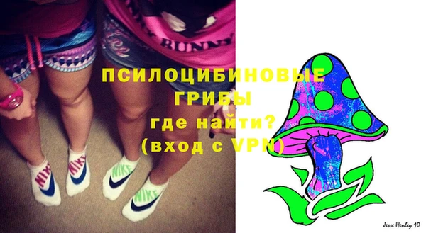 СК Краснослободск