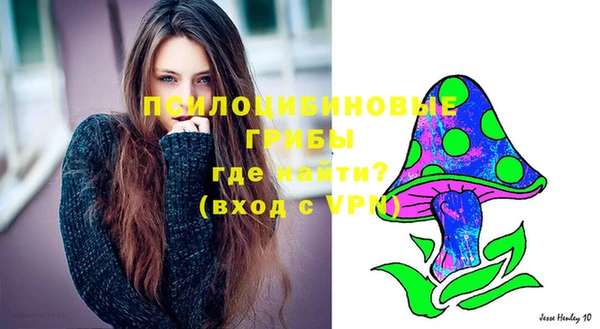 СК Краснослободск