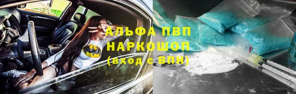 СК Краснослободск