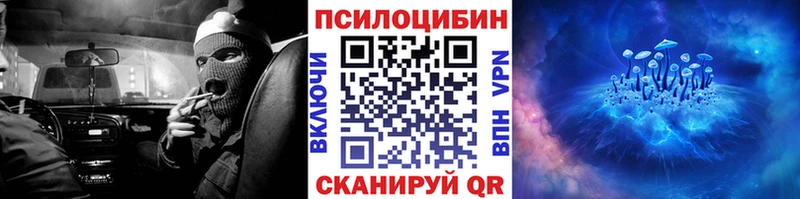купить   Лесной  Псилоцибиновые грибы Psilocybine cubensis 