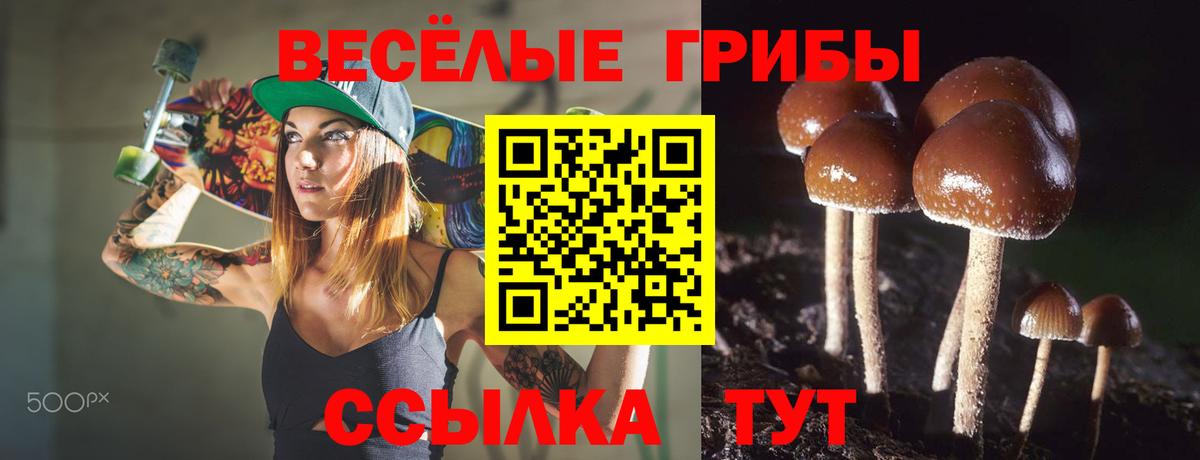 Лесной  Галлюциногенные грибы мухоморы  Вход с VPN 