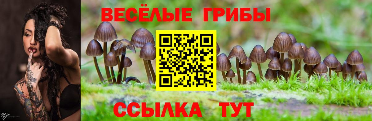 Псилоцибиновые грибы MAGIC MUSHROOMS  Лесной 